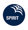 st_subbrand_spirt